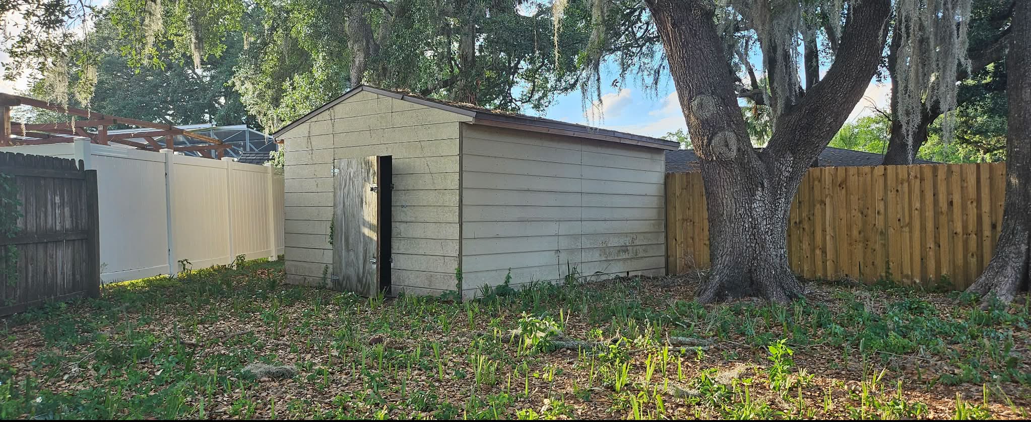 Overgrown backyard with old shed before Aventis junk removal and demolition